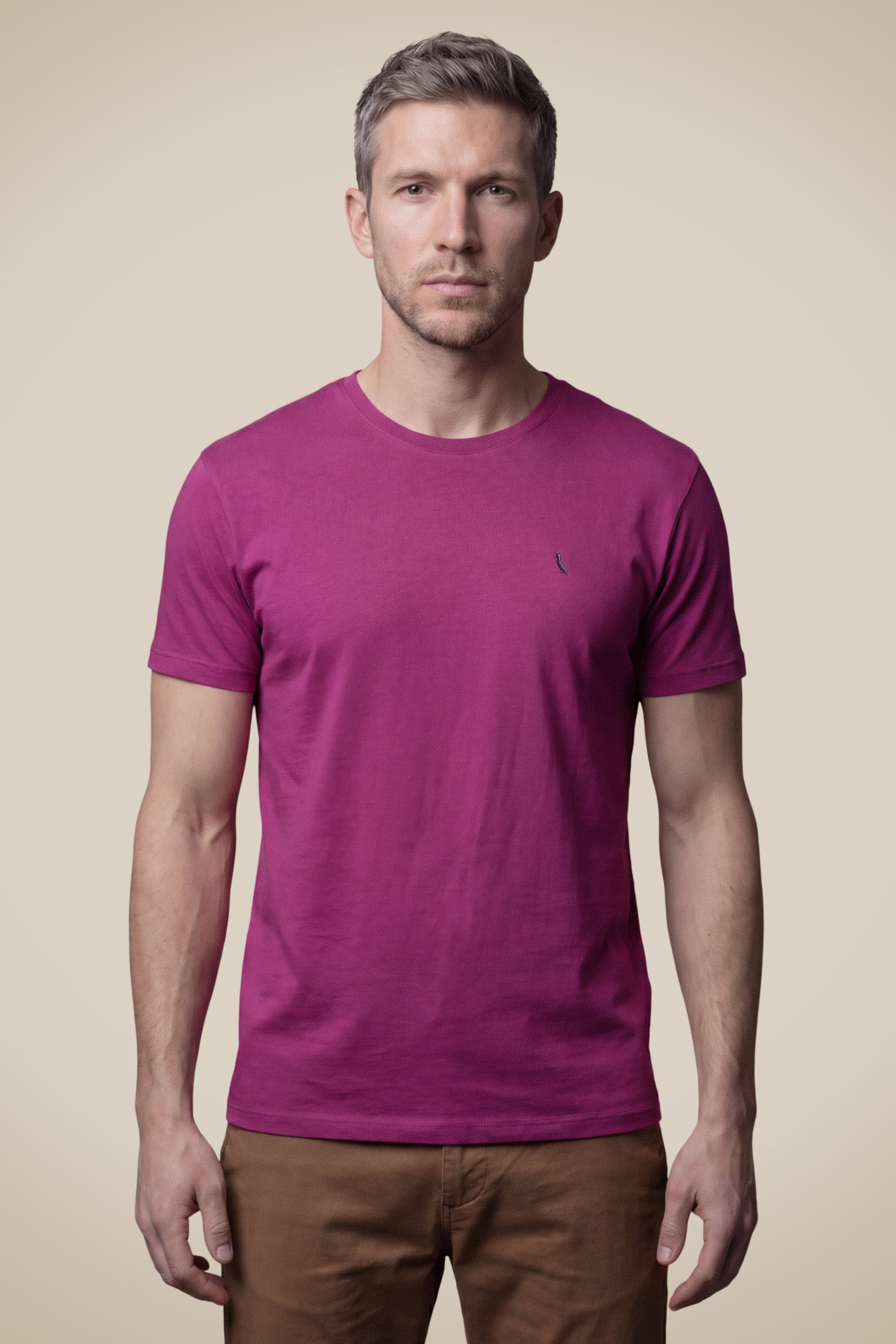 Camiseta Regular Careca