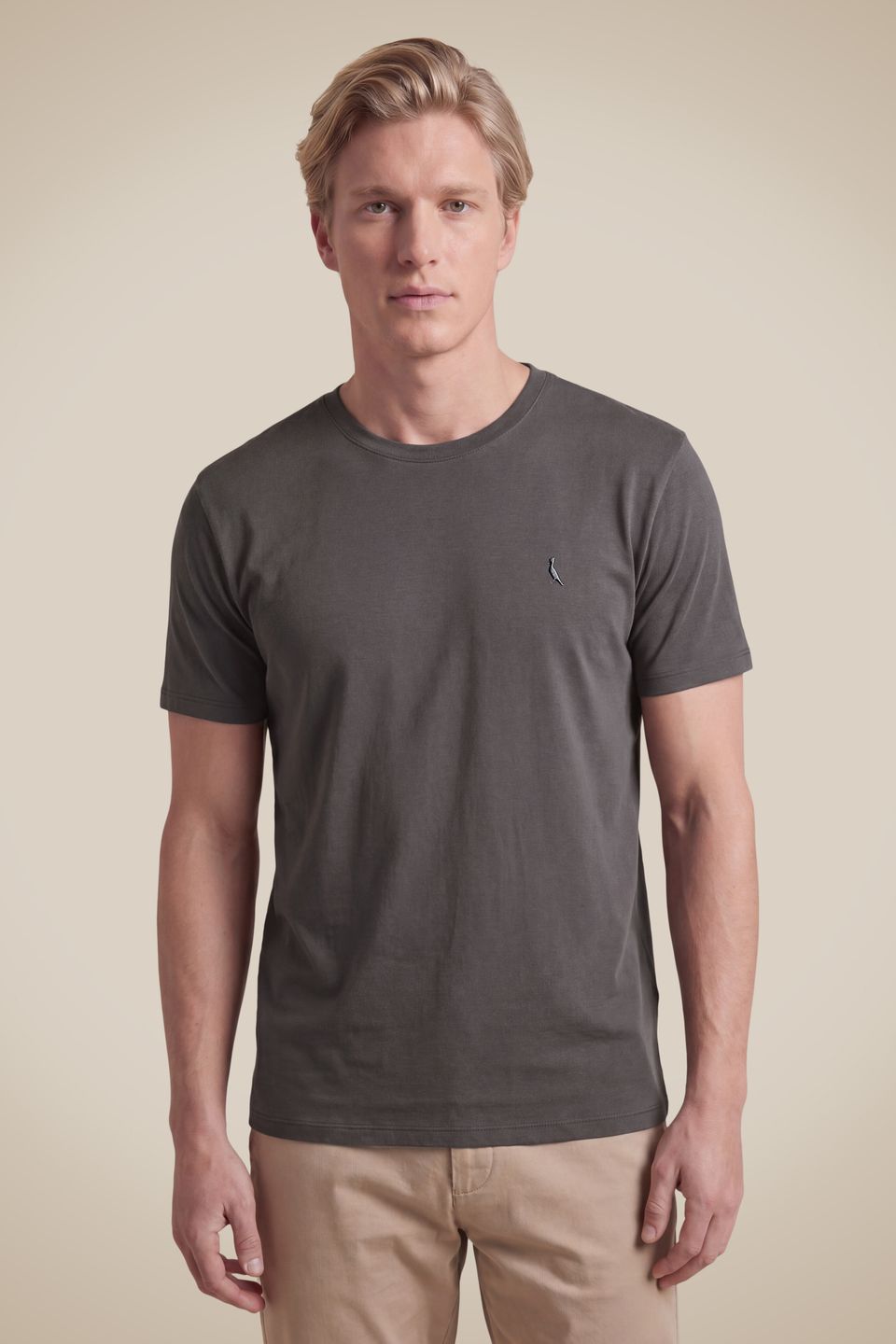 Camiseta Regular Careca
