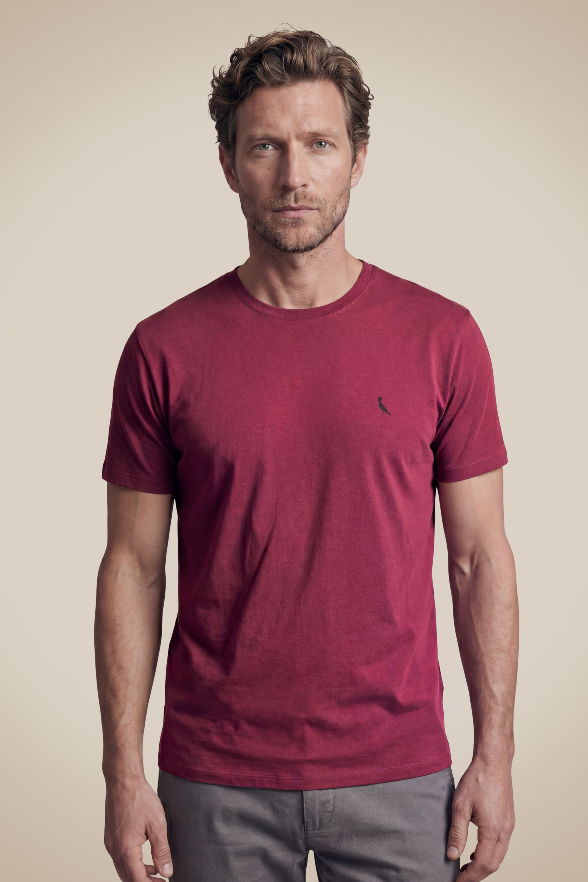 Camiseta Regular Basic