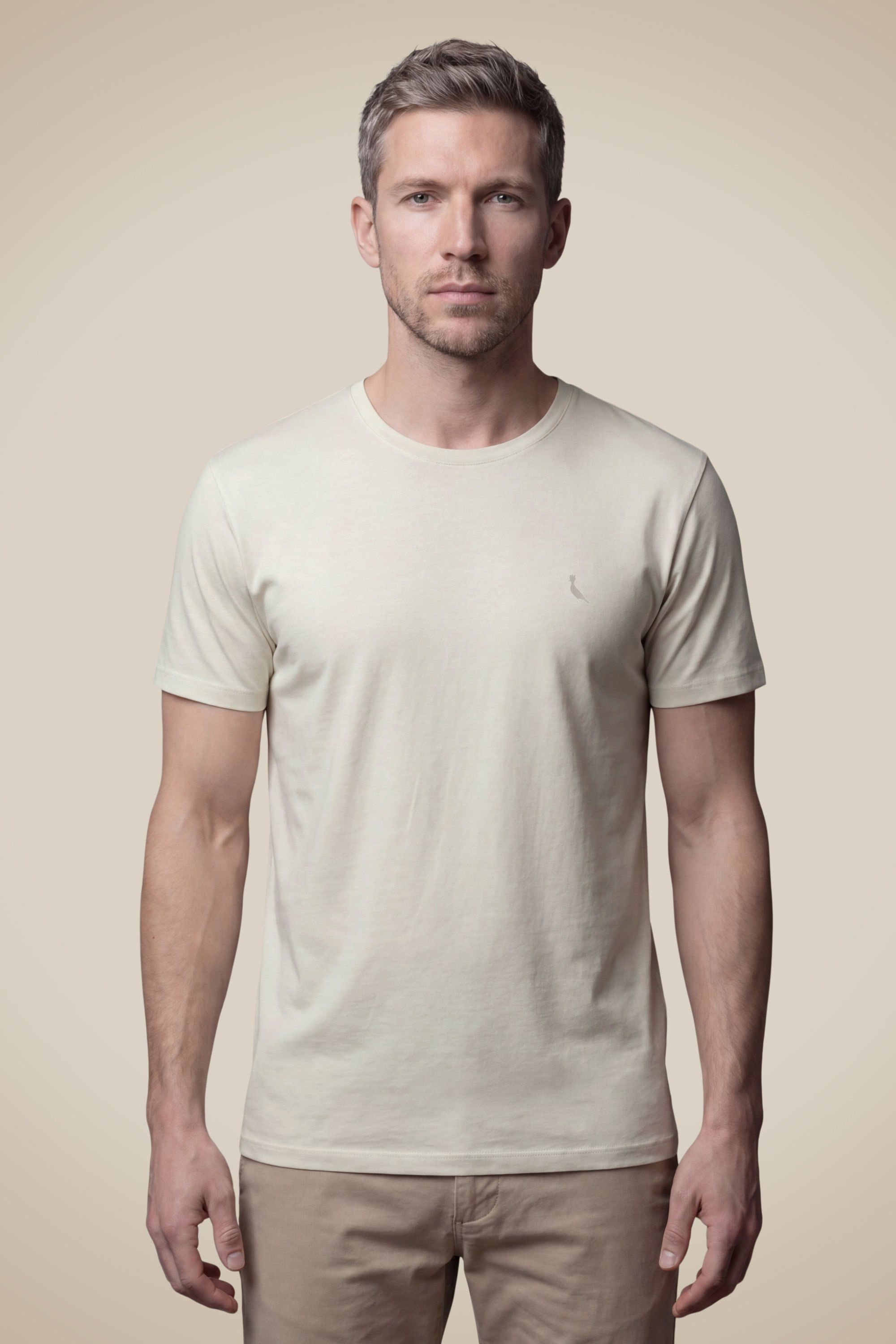 Camiseta Regular Basic