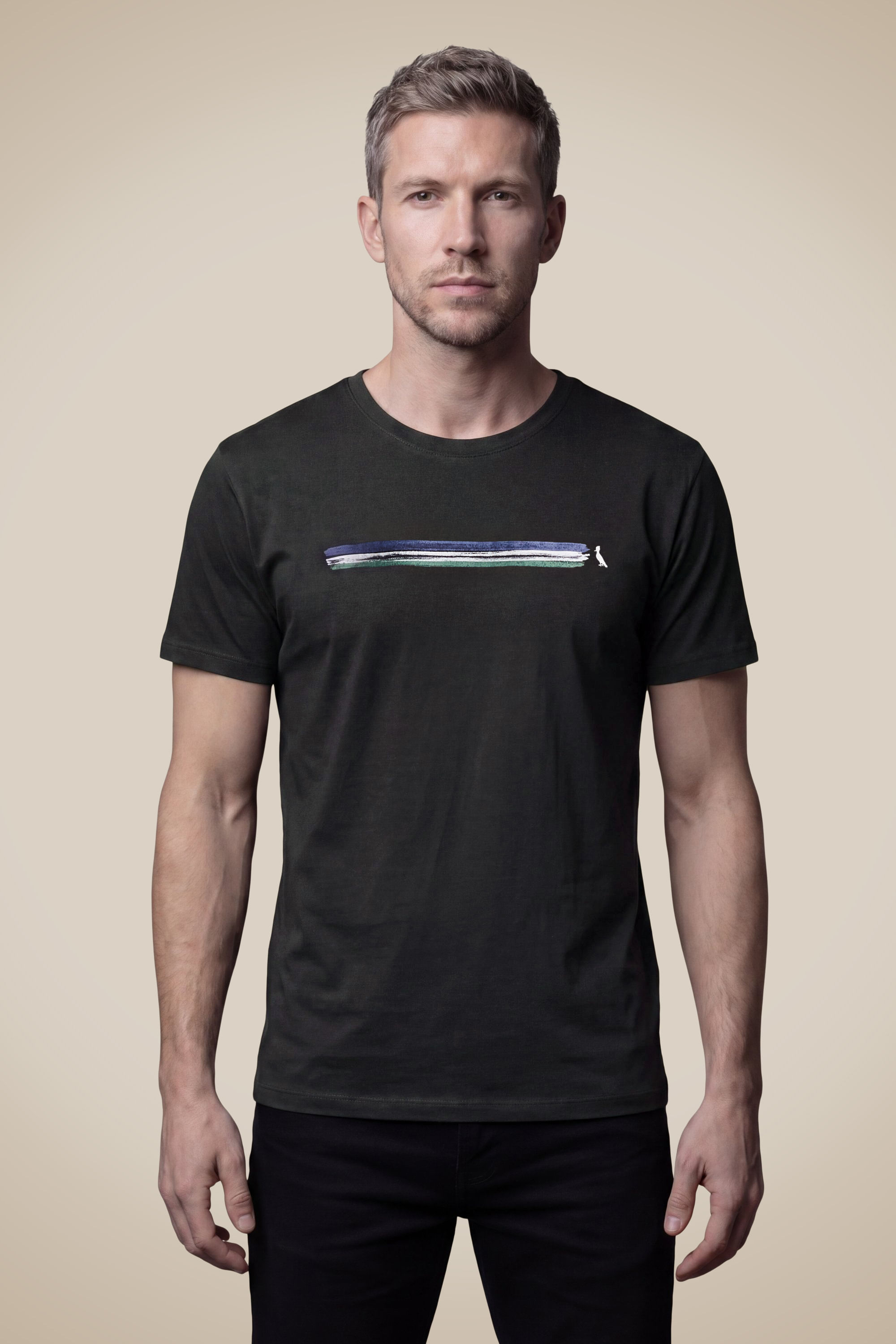 Camiseta Slim Estampada Listra Tricolor
