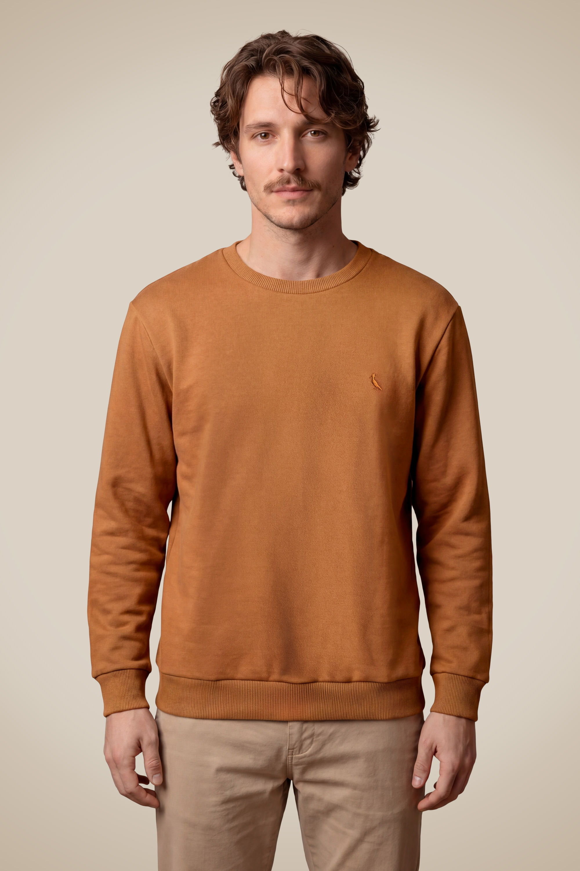 Sueter Moletom Basico New
