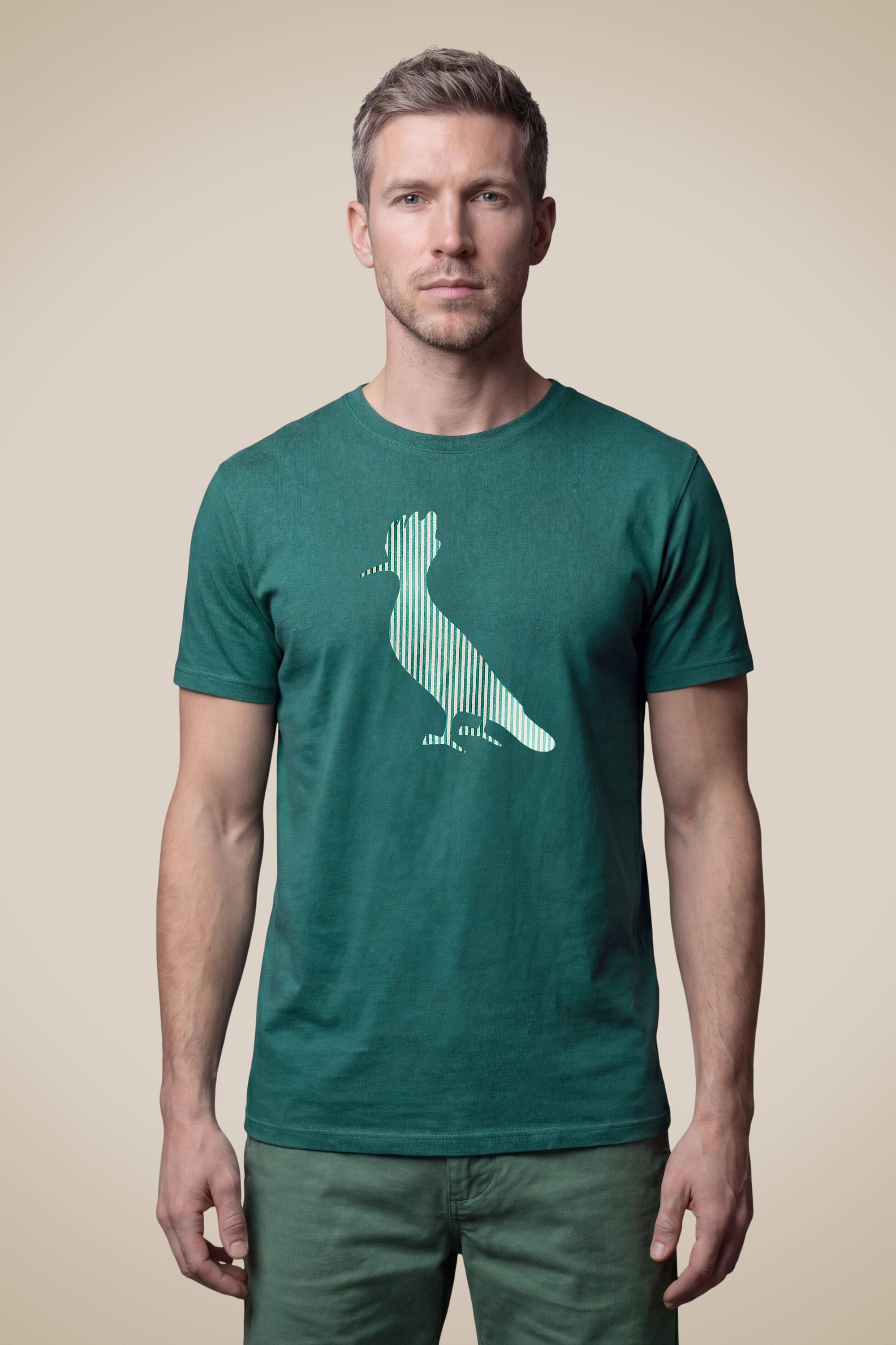 Camiseta Est Pica Pau Listrado Noir