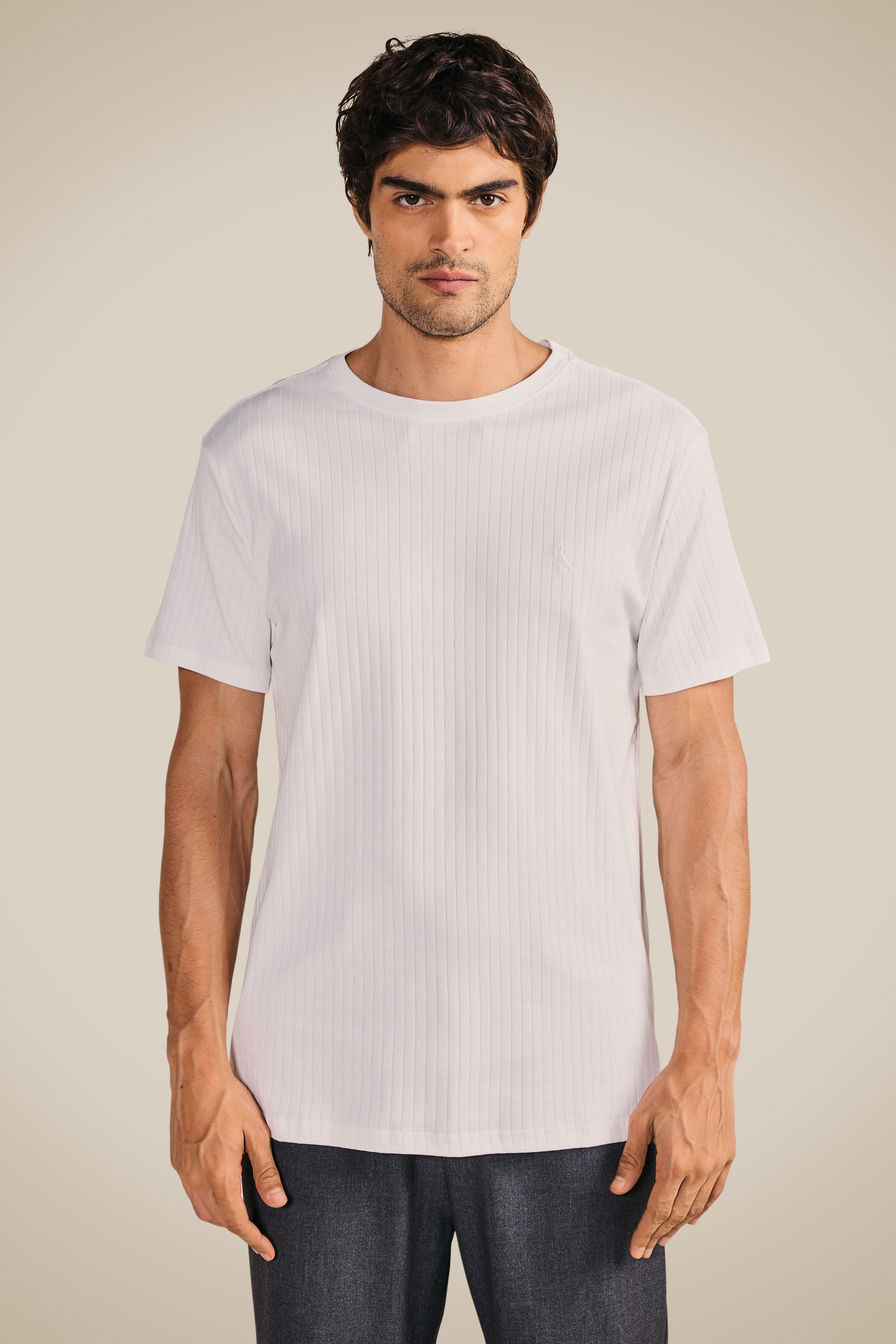 Camiseta Slim Canelada