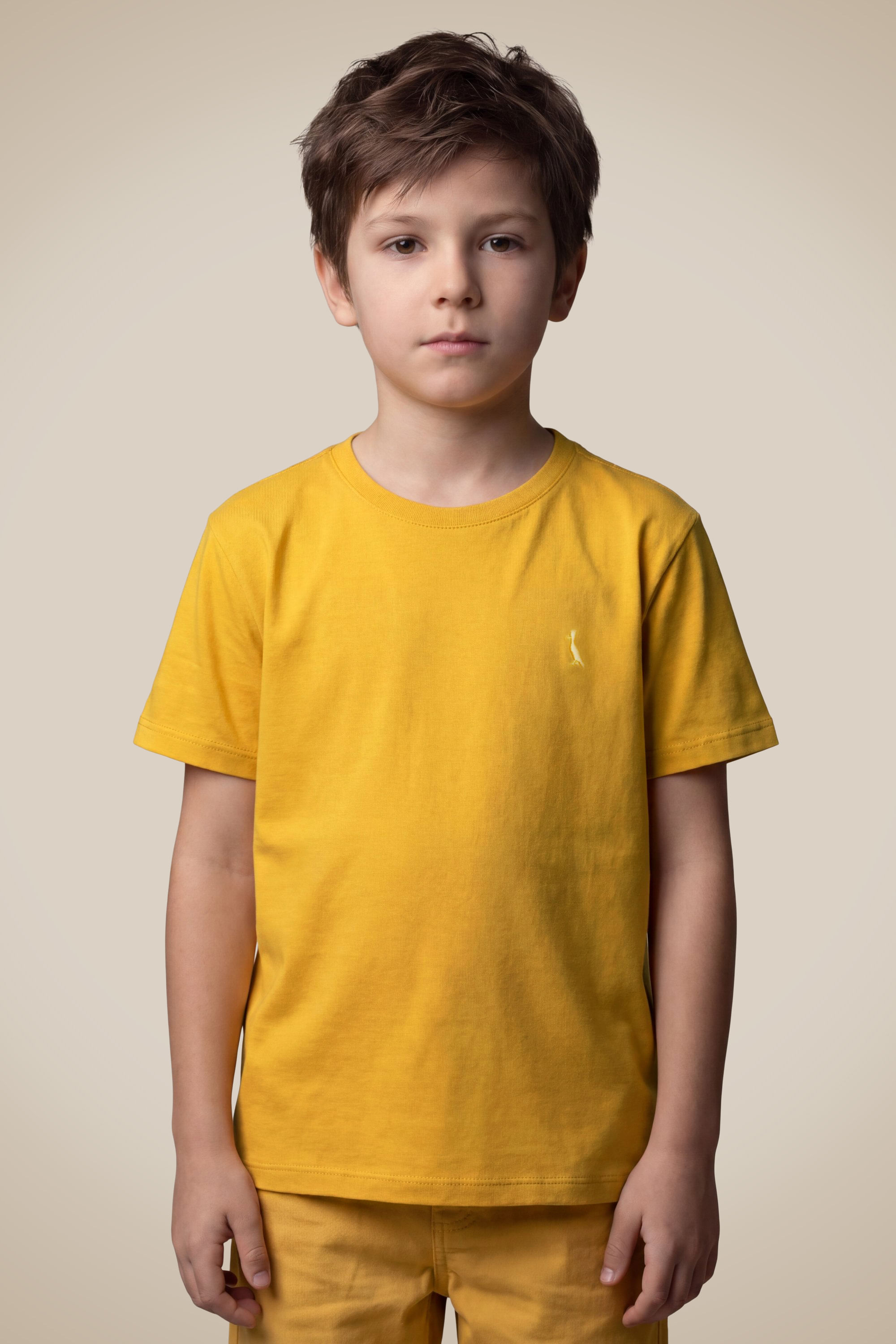 Camiseta Mini Pf Careca - Mostarda - 08