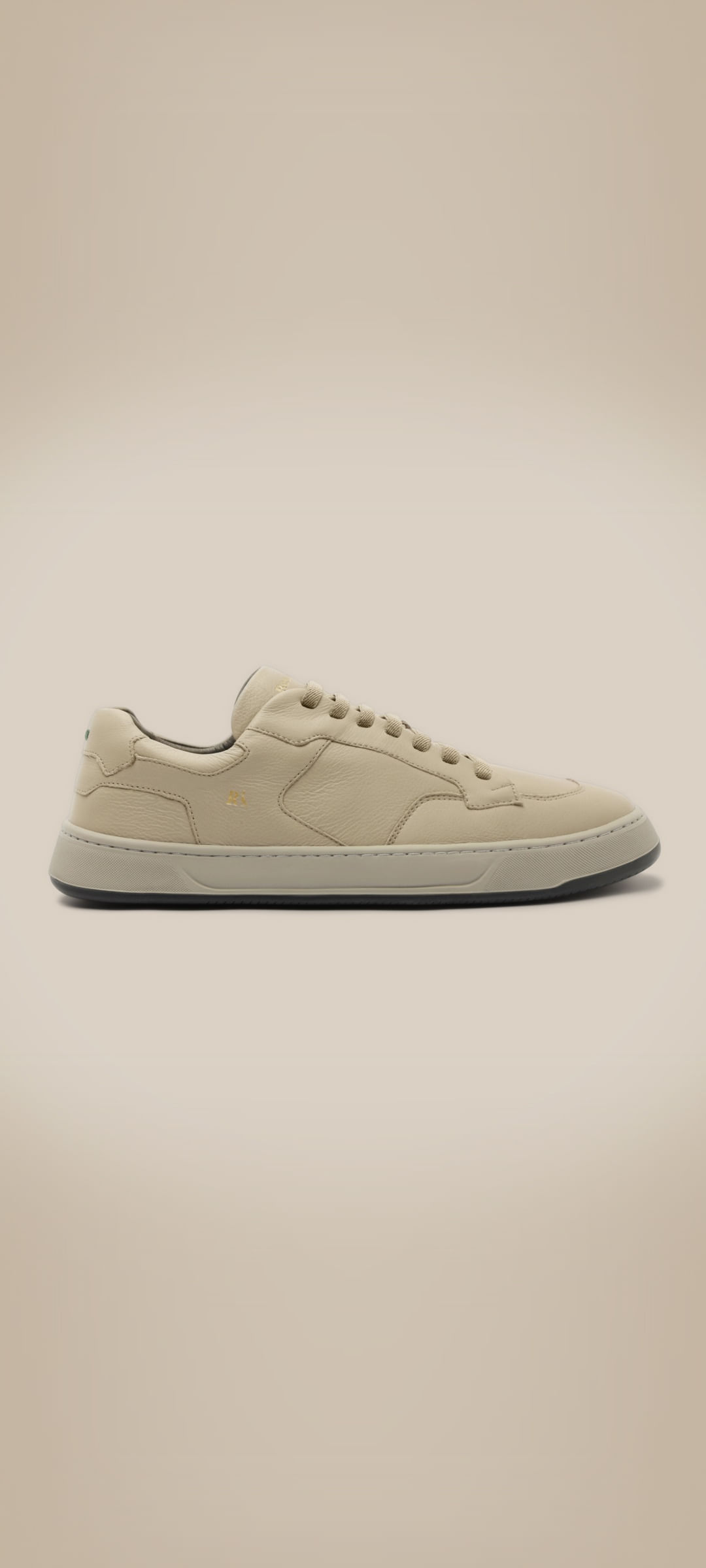 Tenis Rsv Rover V