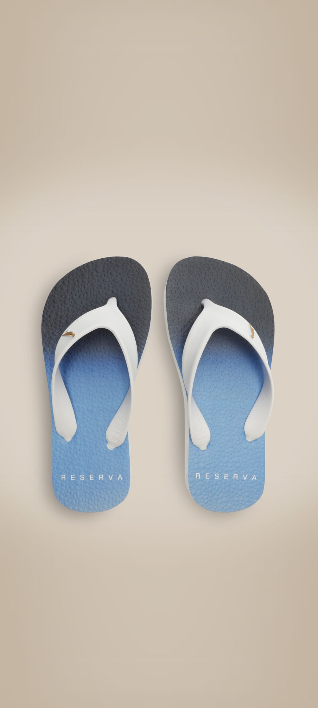 Chinelo Rmi Degrade Anoitecer