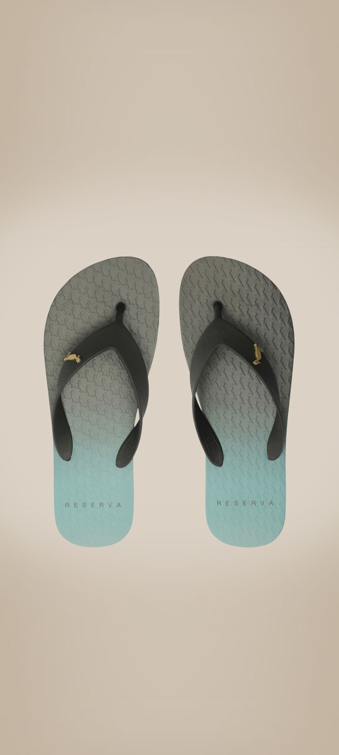 Chinelo Rsv Gradiente