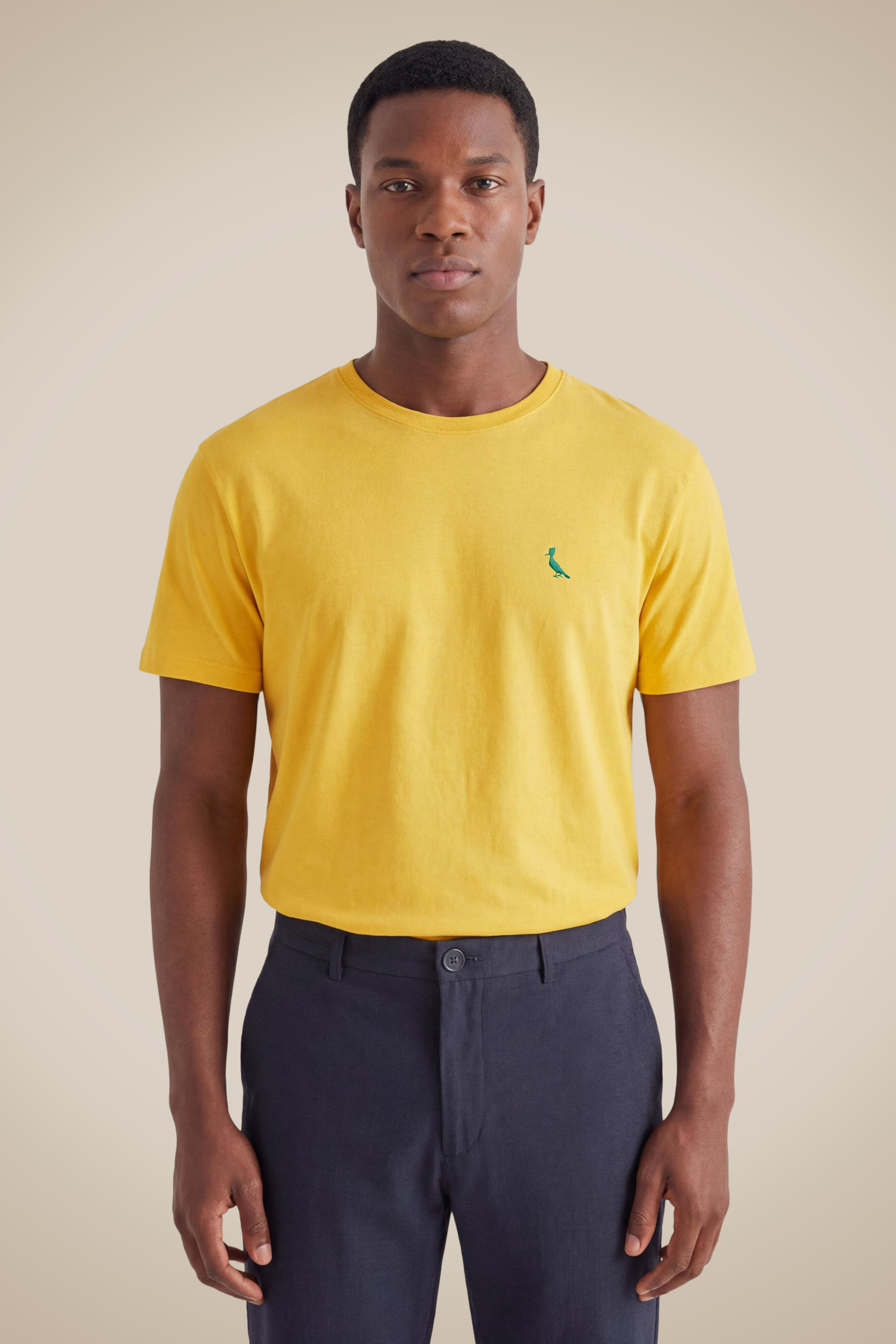 Camiseta Bordado Pica-pau Brasil Limo