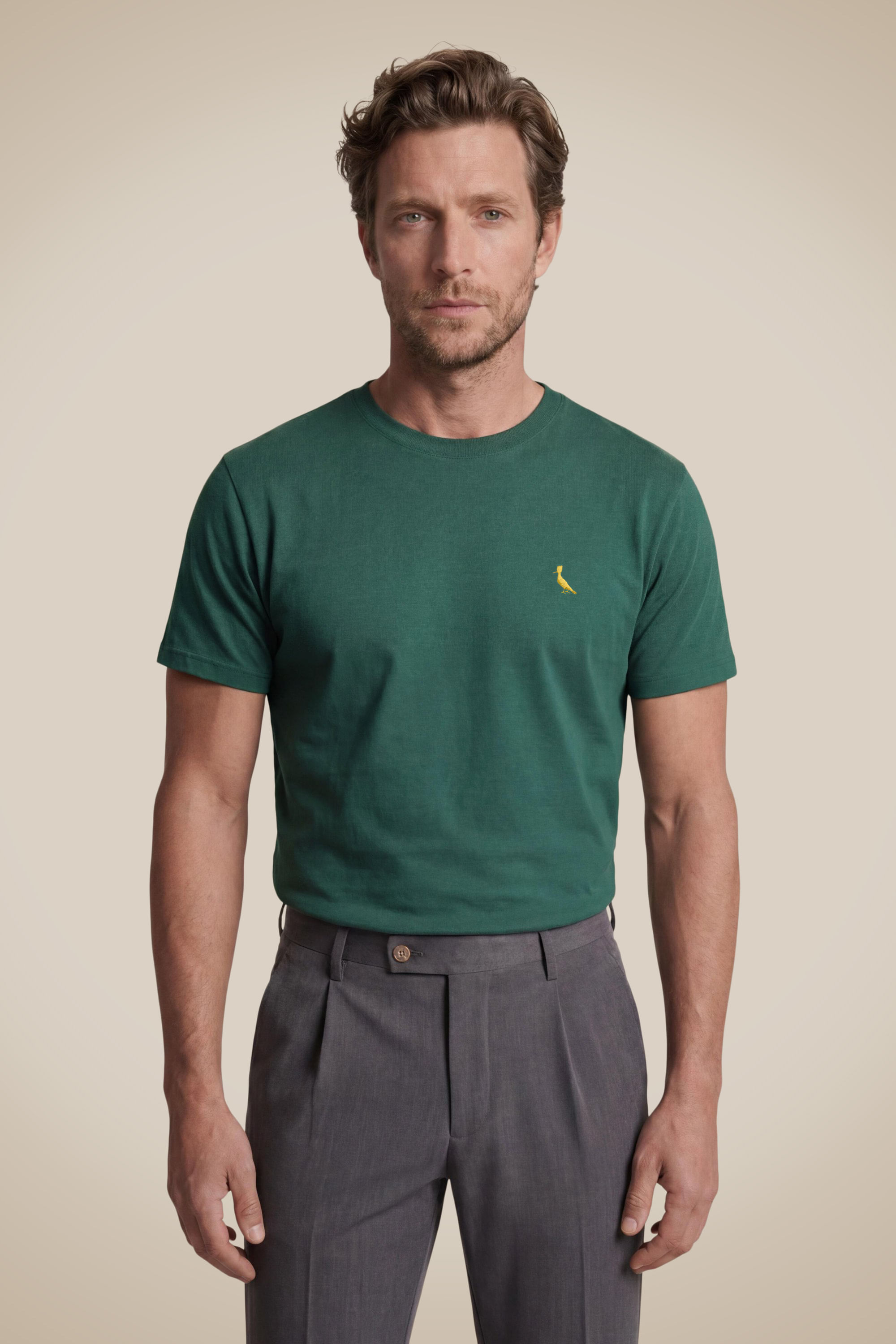 Camiseta Bordado Pica-pau Brasil Ouro