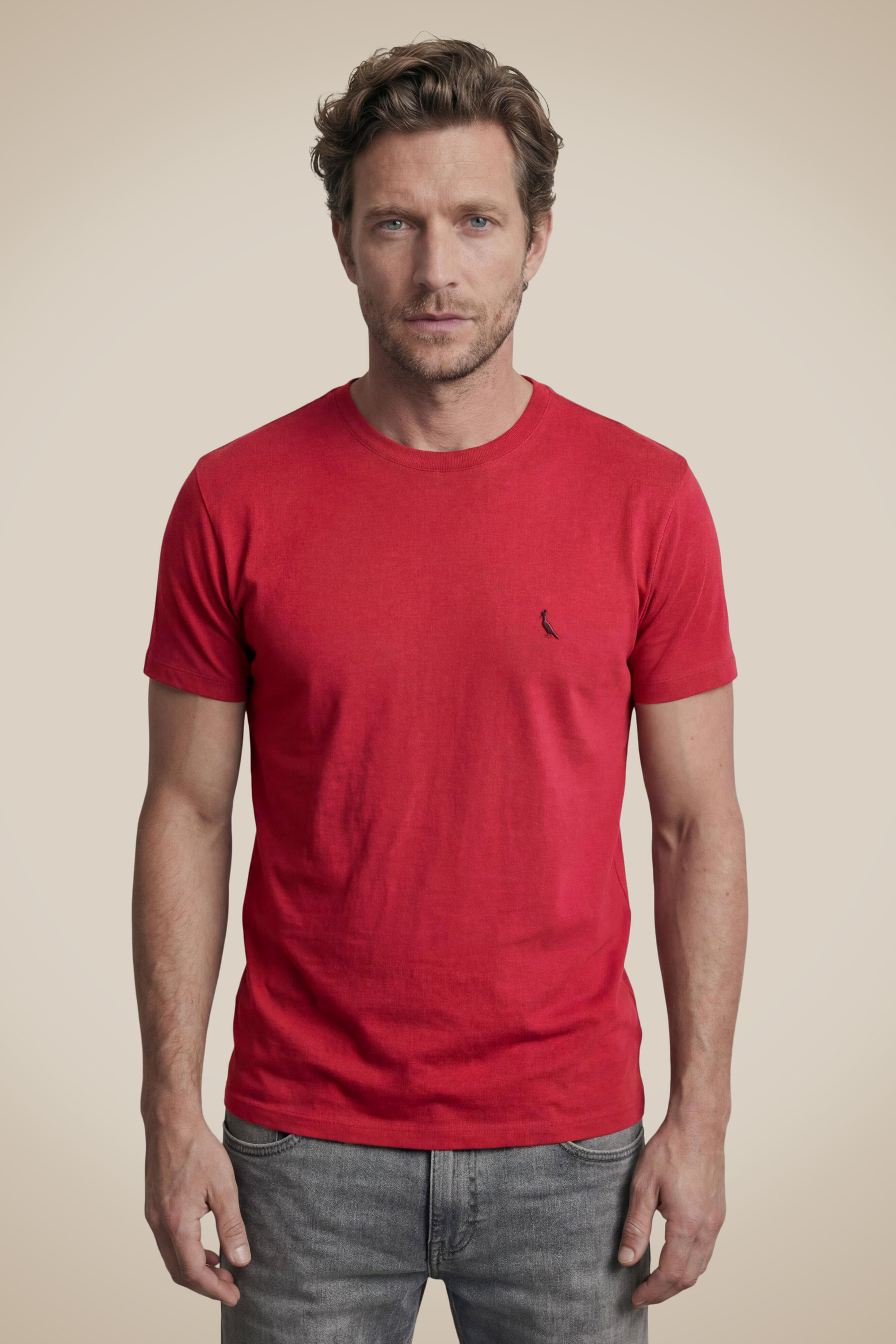 Camiseta Paris