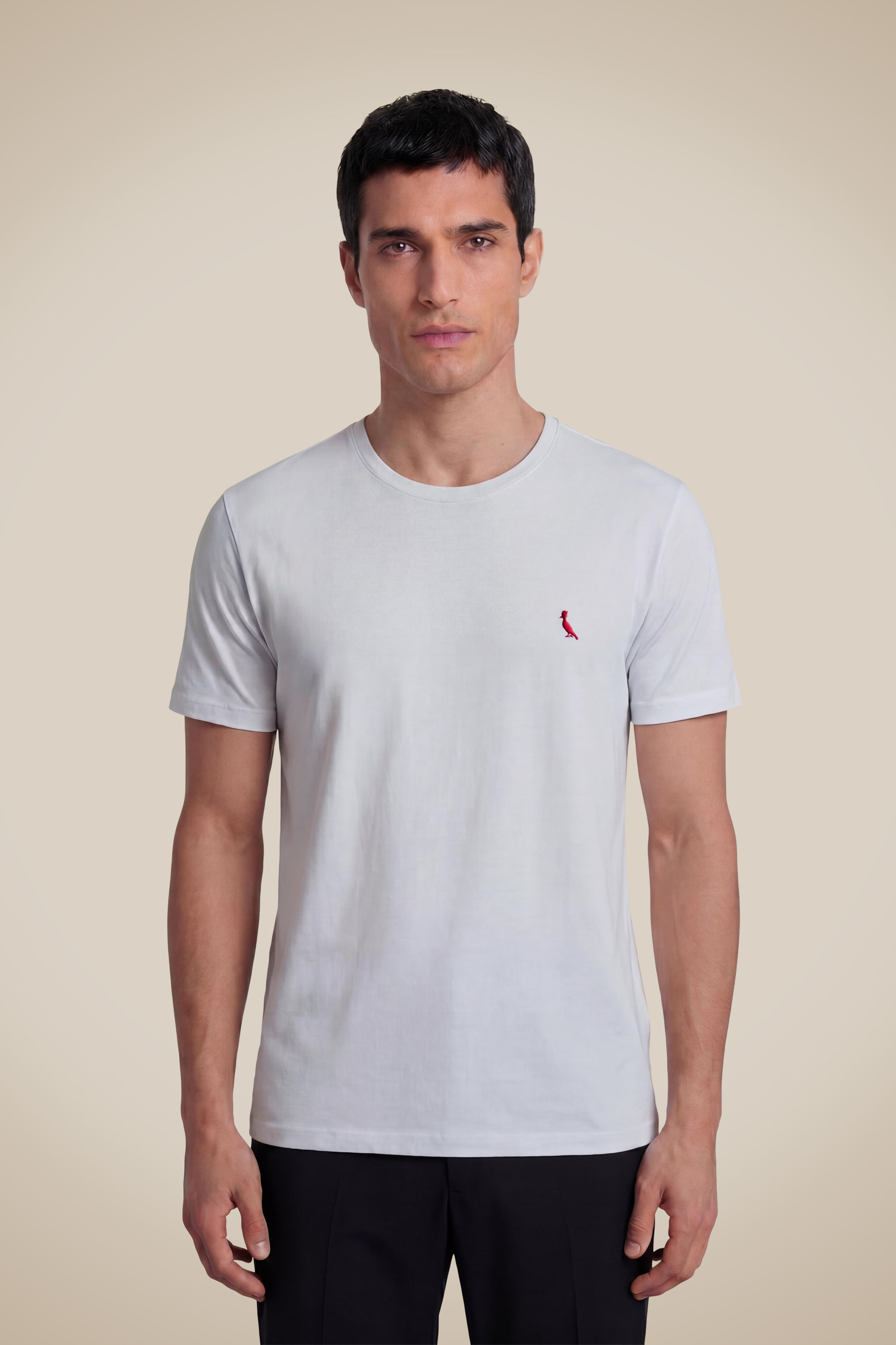 Camiseta Picapau Algodao Peruano