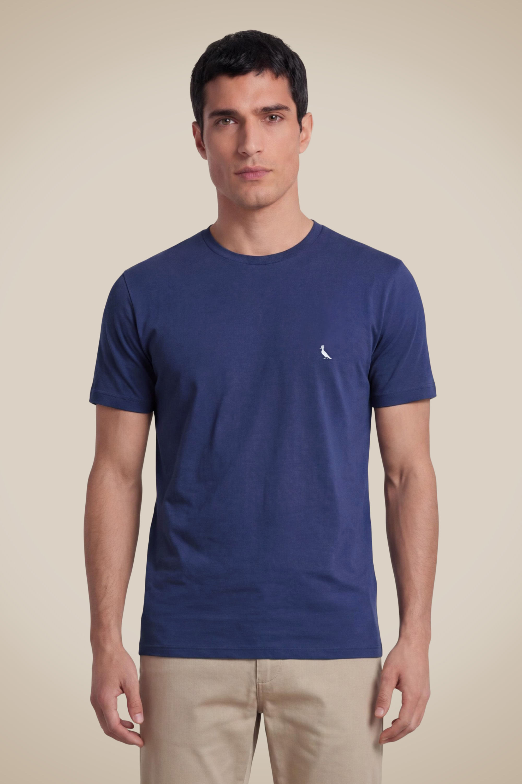 Camiseta Básica Suspiro Pica-pau Bordado - Marinho - Gg