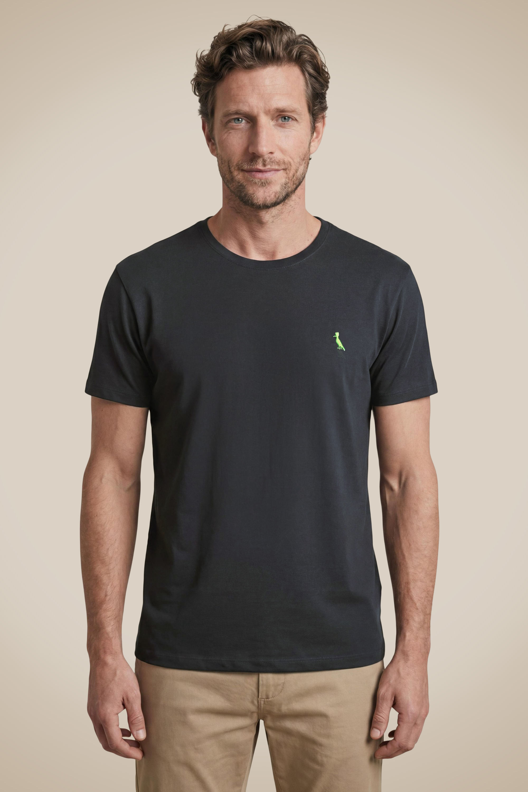 Camiseta Pica Pau Bordado Neon - Preto - P