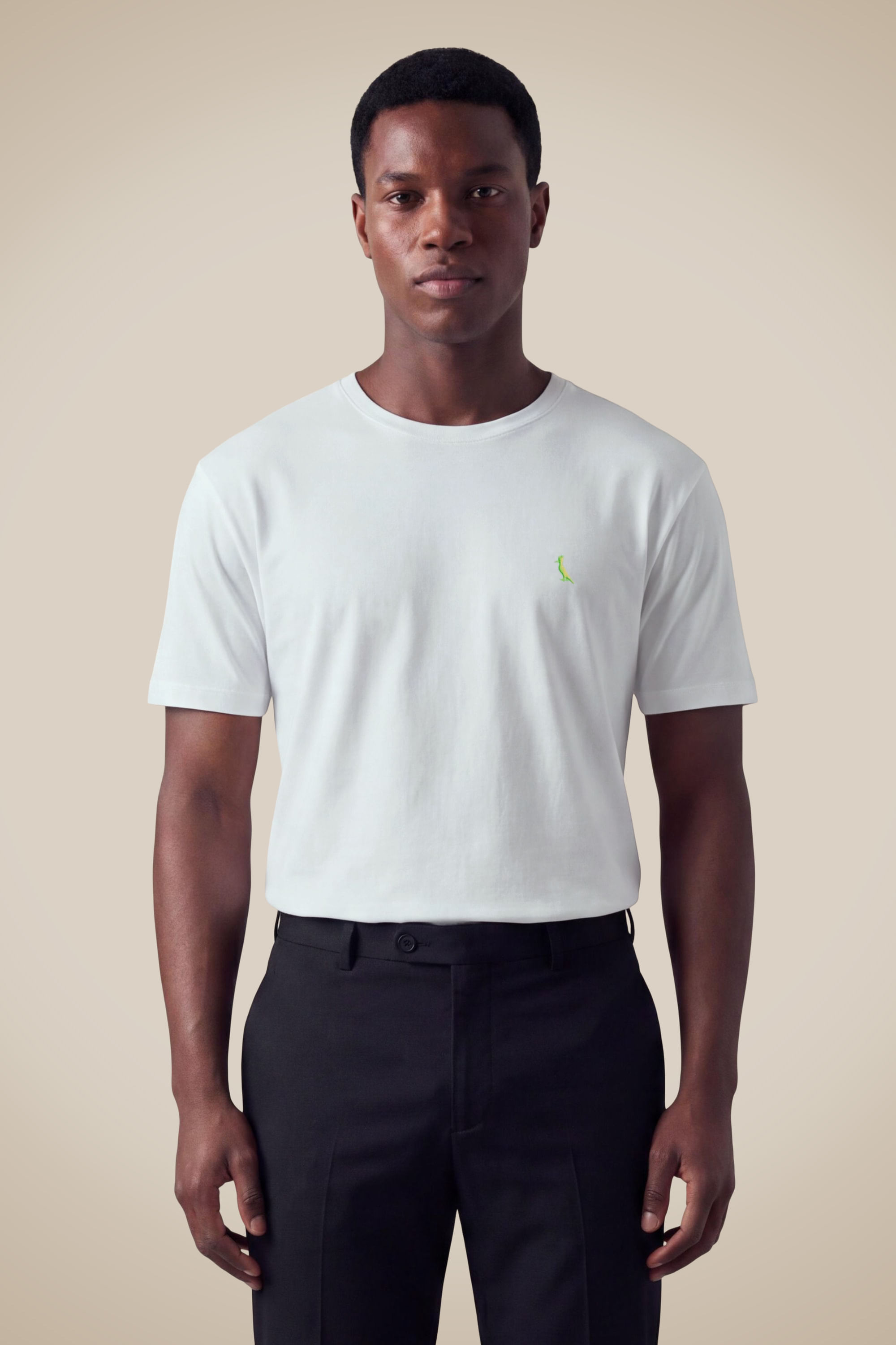 Camiseta Pica Pau Bordado Neon