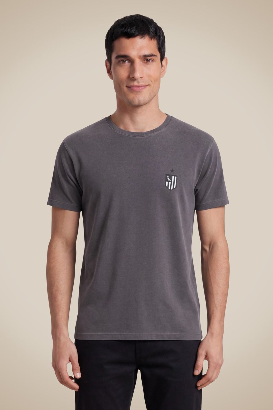 Camiseta Estampa Escudo Pp Botafogo