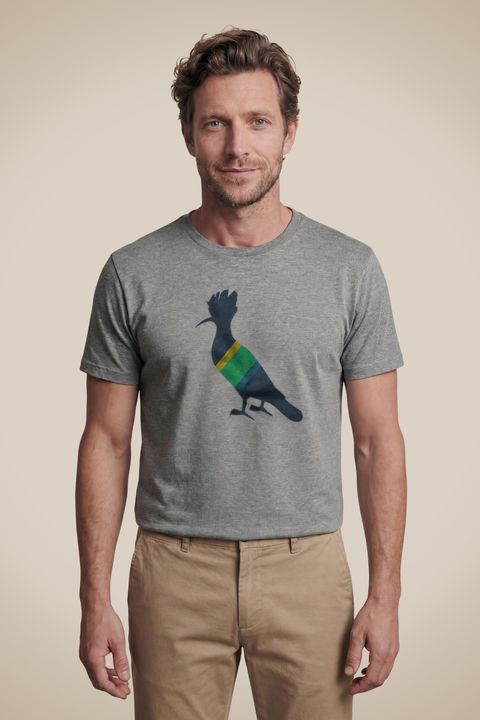 Camiseta Pica-Pau Brasileiro — Reserva