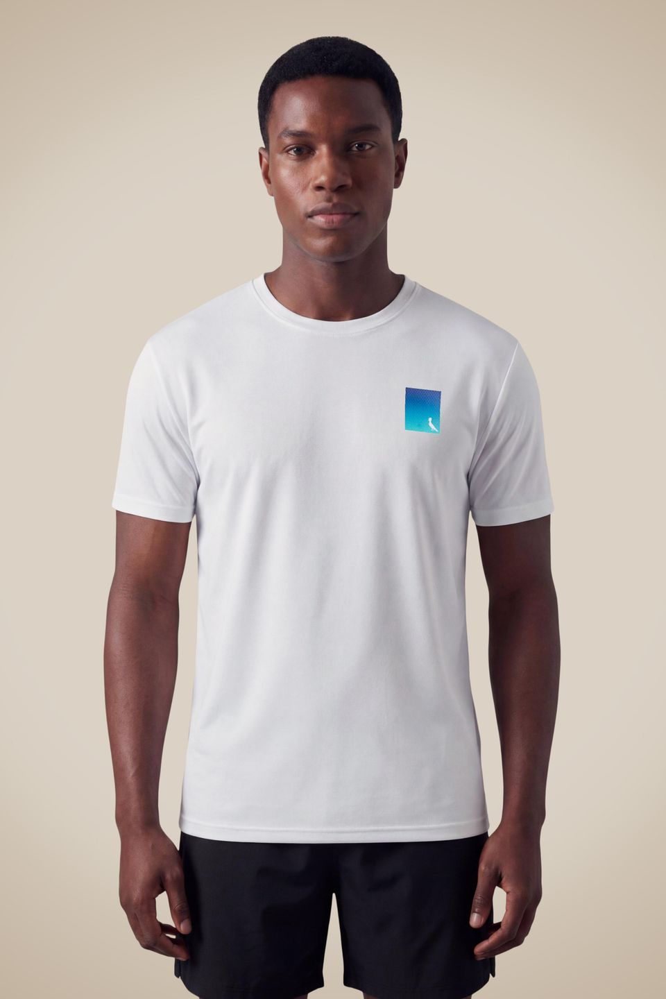 Camiseta Estampada Pica Pau Degrade Run