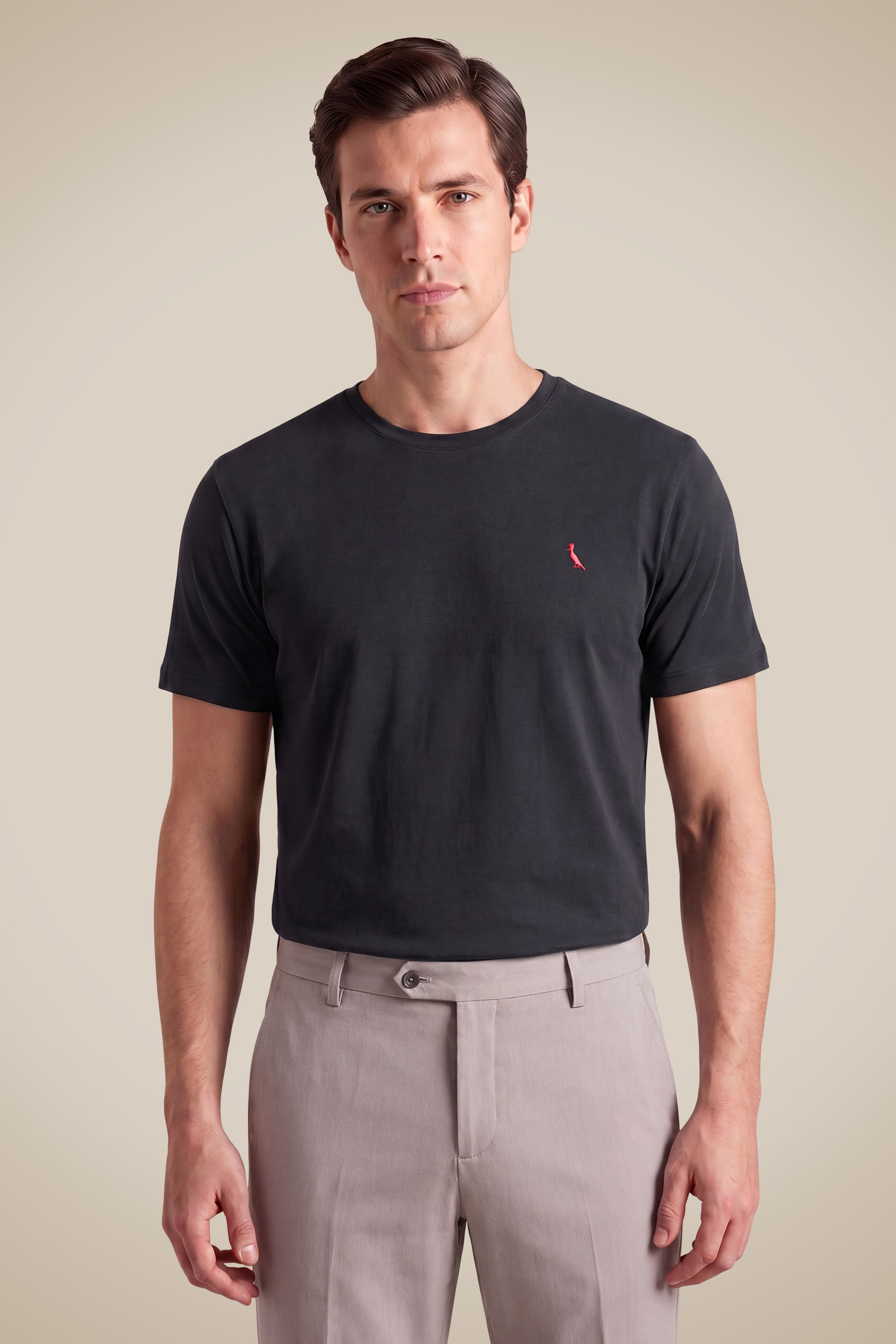 Camiseta Algodão Orgânico Brasa