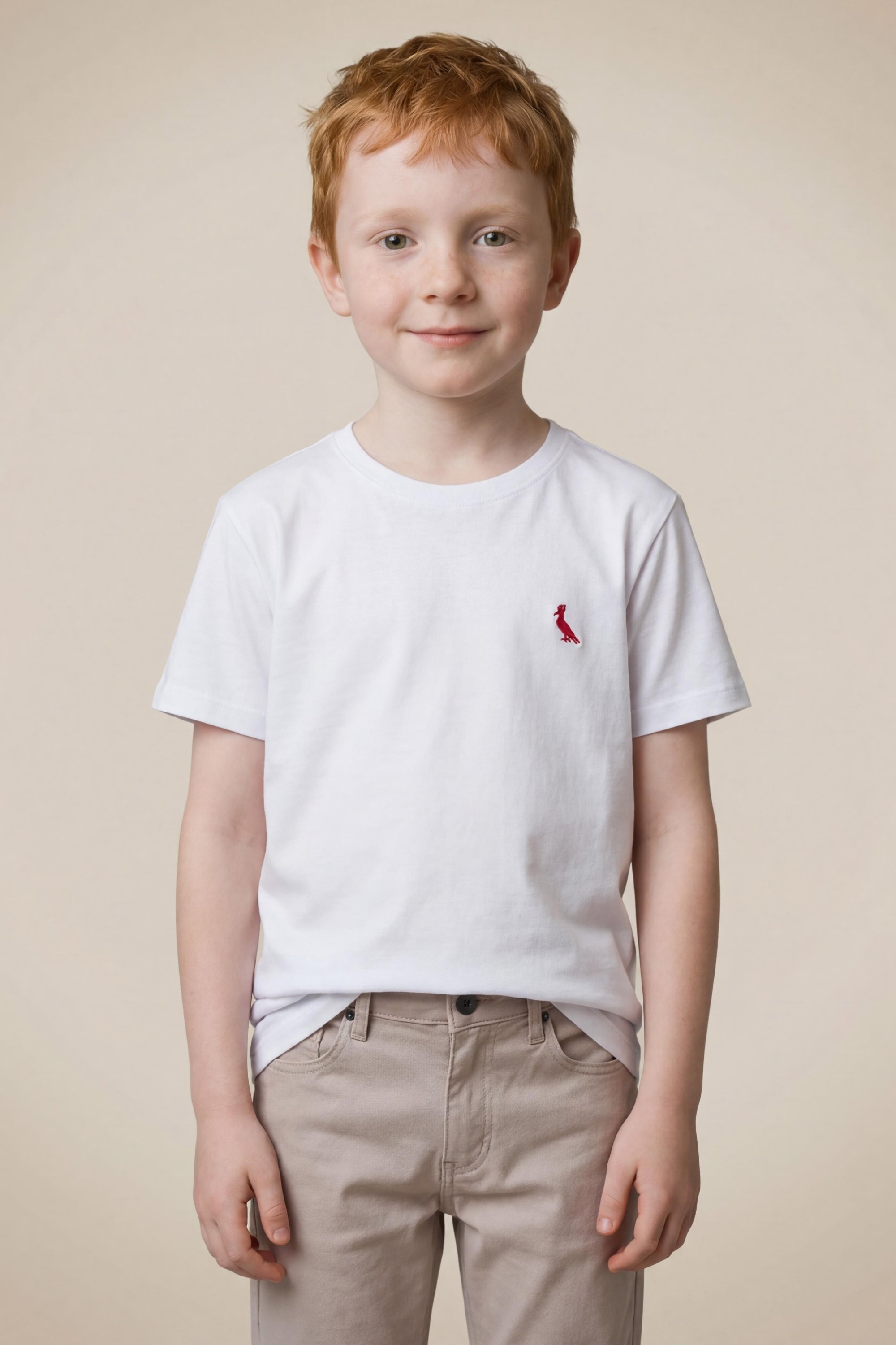Camiseta Reserva Mini Brasa Pica-pau Bordado