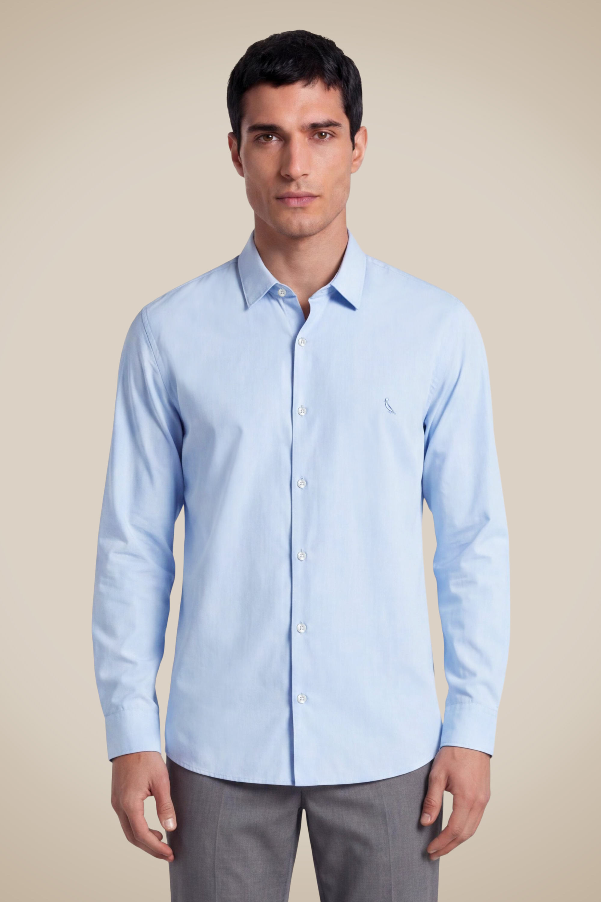 Camisa Ml Cerrado - Azul Claro - Gg