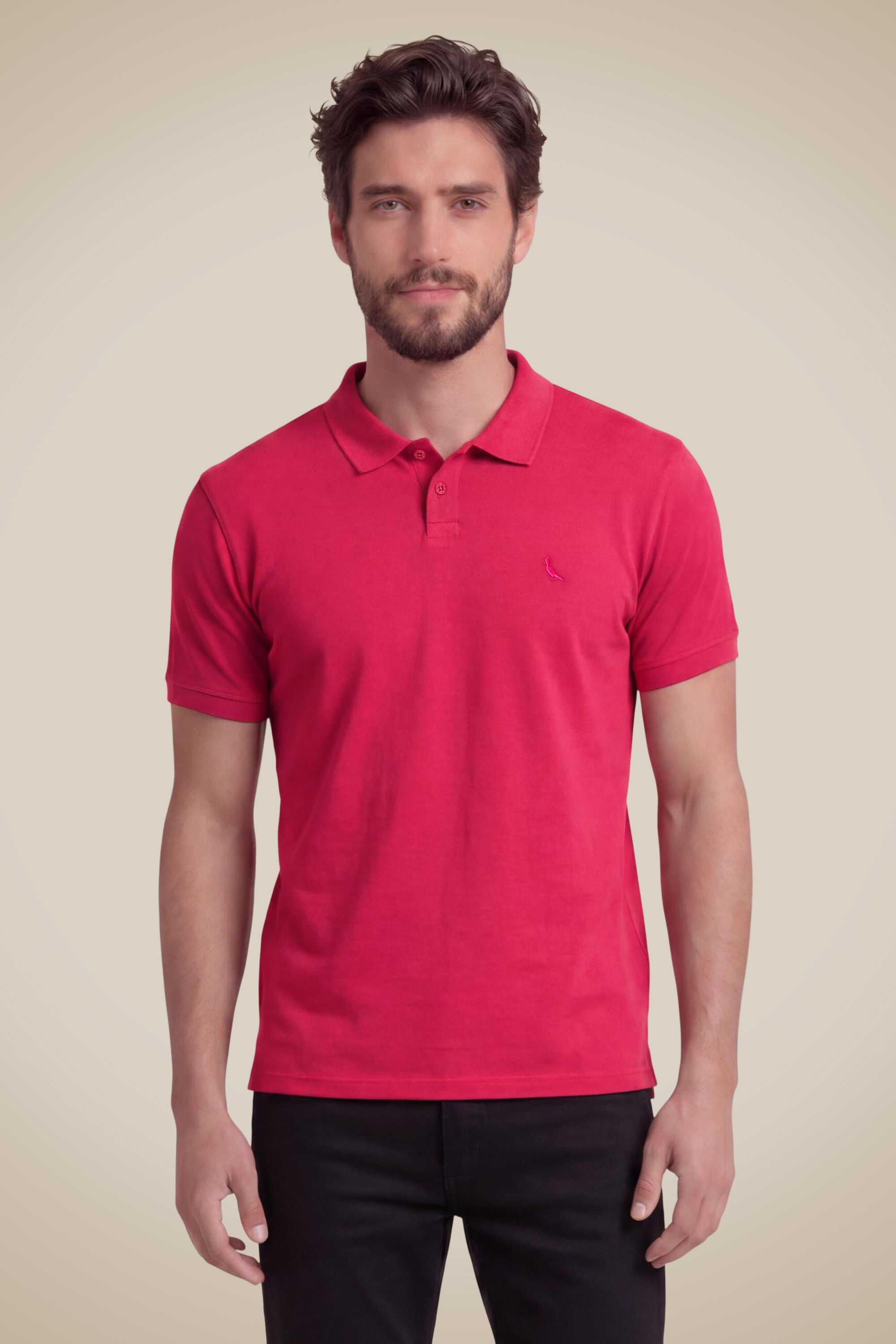 Polo Pima Piquet