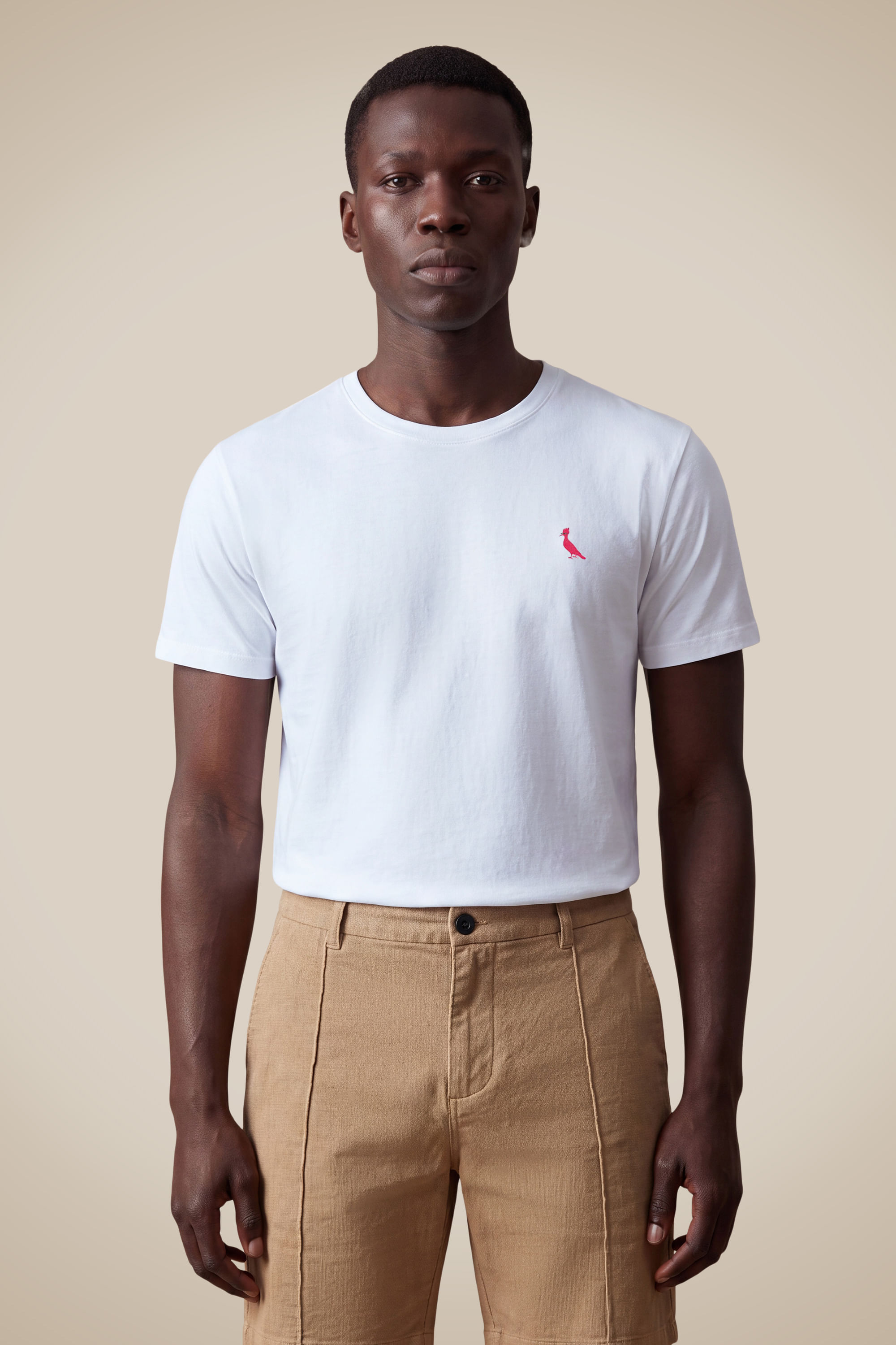 Camiseta Sb Pica Pau Est Meme Escudo - Branco - G