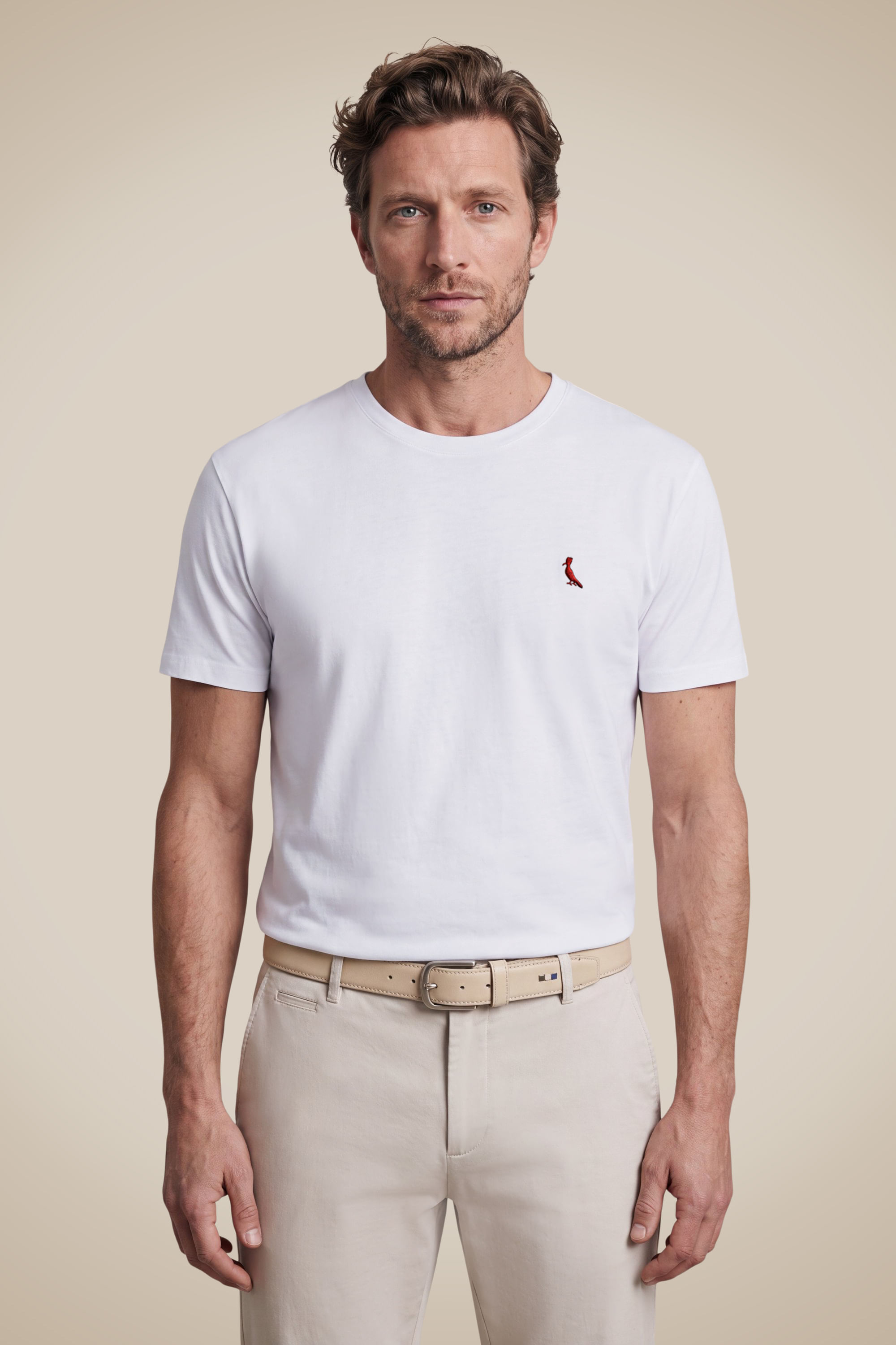 Camiseta Básica Brasa Pica-pau Bordado