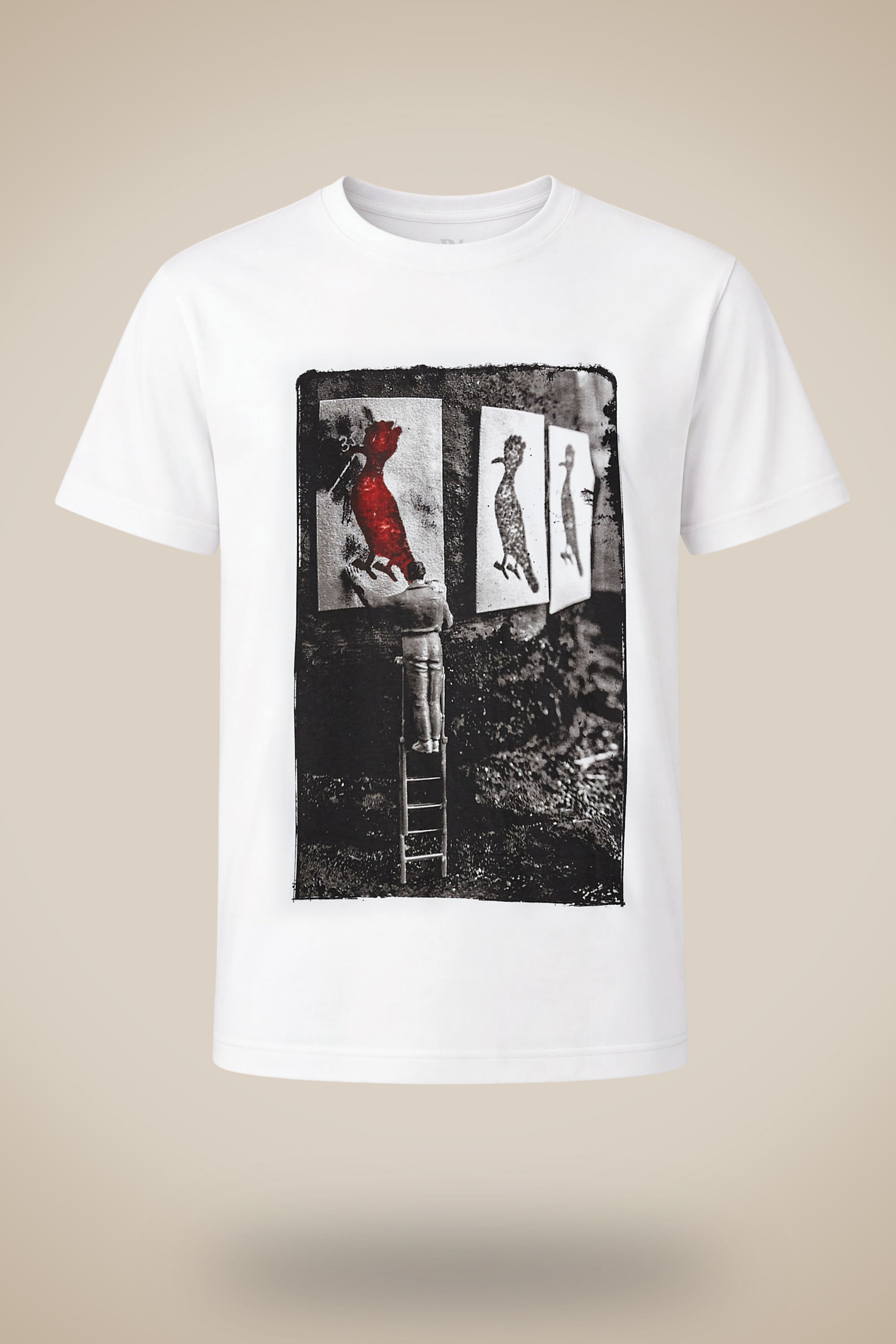 Camiseta Estampada Pica Pau Insta Pequen