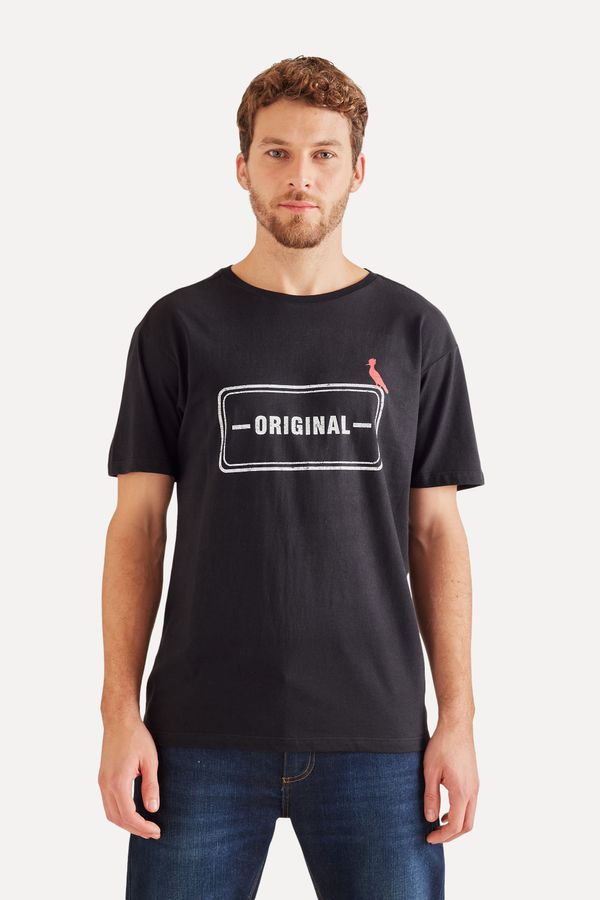 Camiseta Carimbo Original