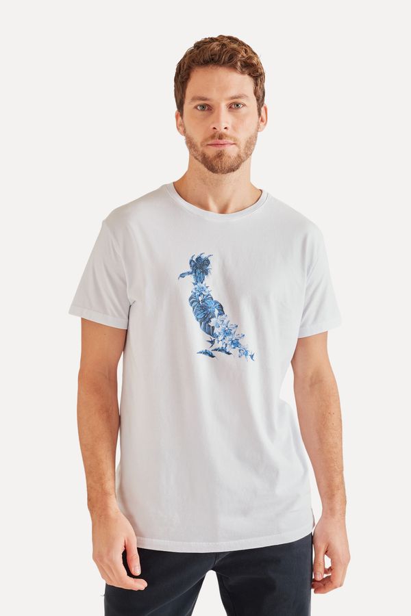 Camiseta Estampada Pica Pau Atlantica