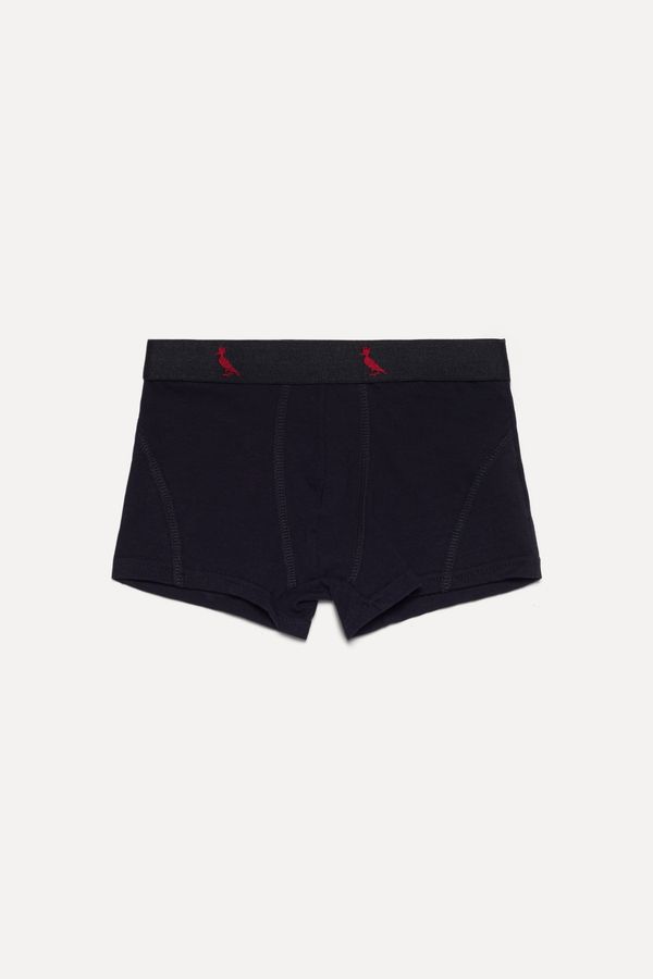 Cueca Cont Mini Boxer Algodao