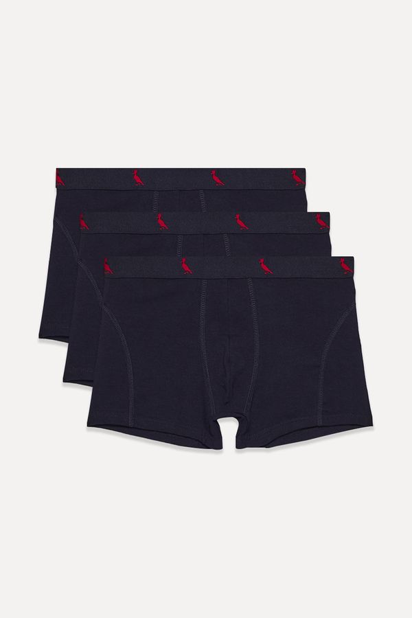 Kit 3 Cuecas Boxer Algodão Reserva