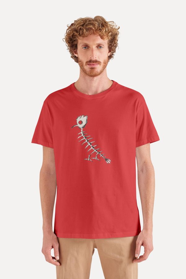 Camiseta Estampada Pf Pica Pau Peixe