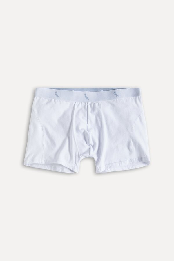 Cueca Surton Boxer