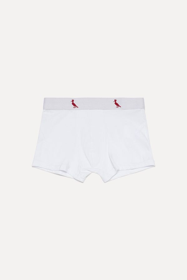 Cueca Cont Mini Boxer Algodao