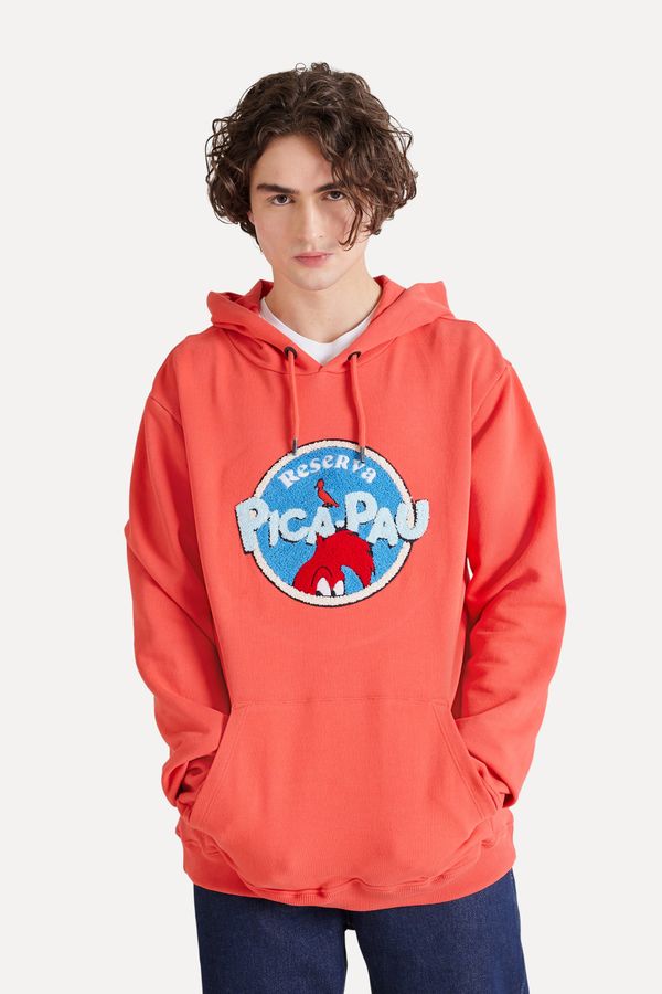 Hoodie Estampada Pica Pau