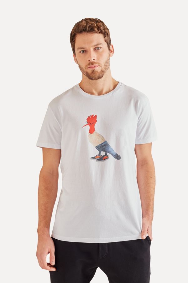 Camiseta Estampada Pica Pau Casual