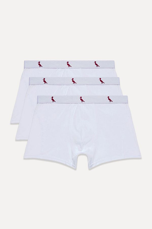 Kit 3 Cuecas Boxer Algodão Reserva