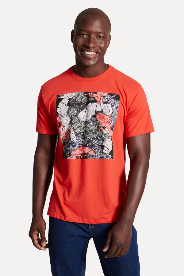 Camiseta Estampada Bau Bandana