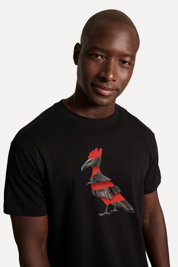 Camiseta Estampada Pica Pau Urubu