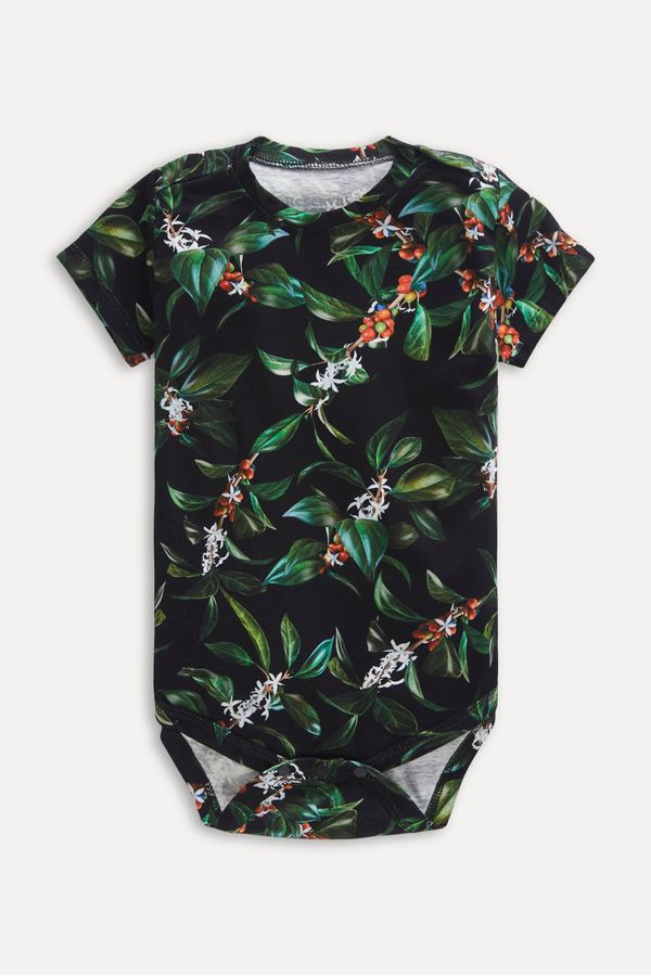 Macaquinho Body Bb Café