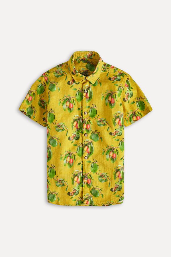 Camisa Mini Cajueiro
