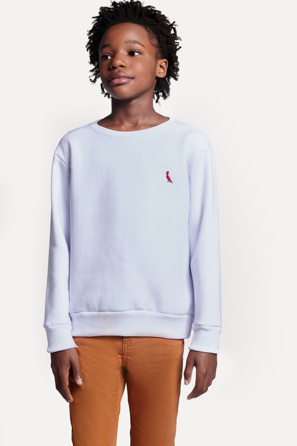 Moletom Mini Careca Brasa Pp Bordado