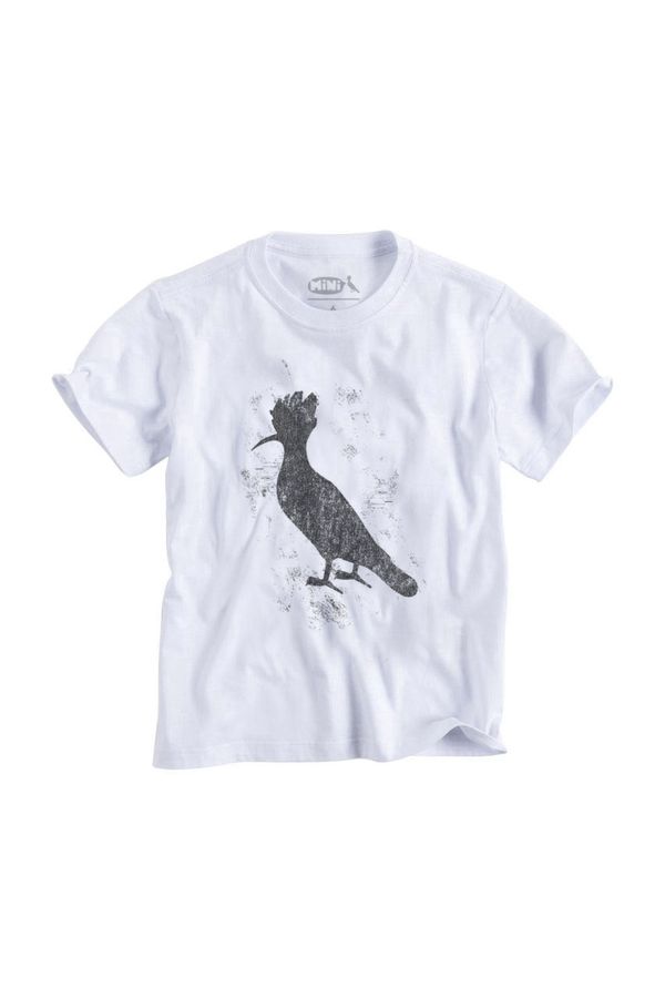 Camiseta Mini Pica-pau Dark