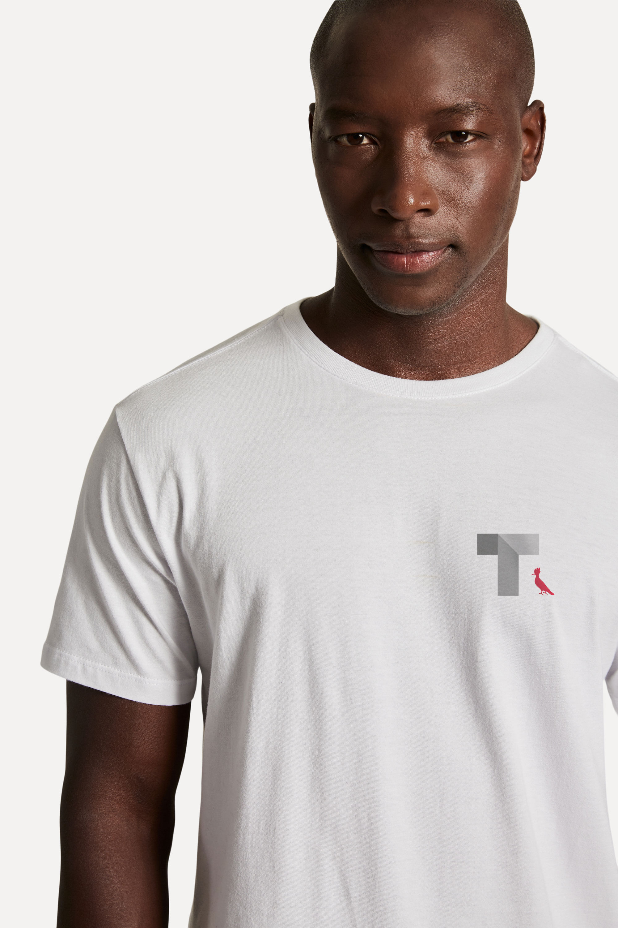 Camiseta Mit Logo T Grey