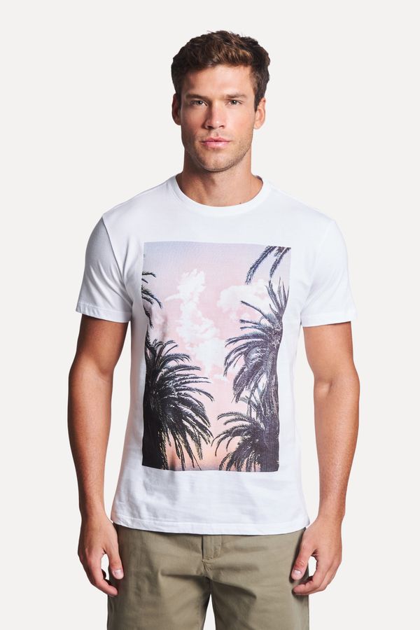 Camiseta Estampada Pica Pau Ceu