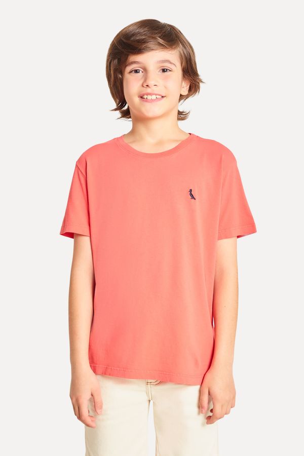 Camiseta Mini Careca Lisa