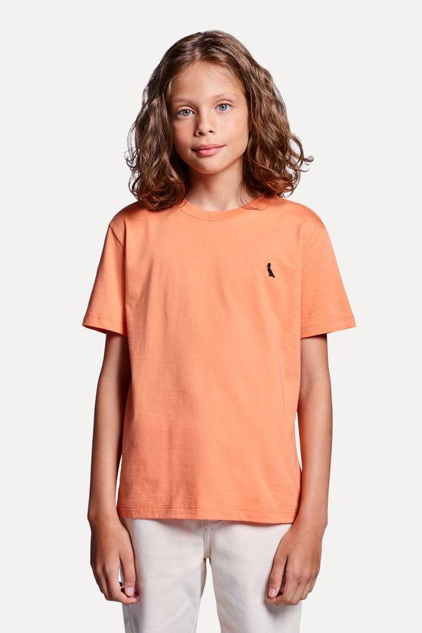 Camiseta Mini Careca Lisa