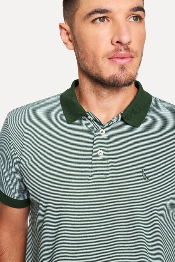 Polo Listra Classica Pica Pau